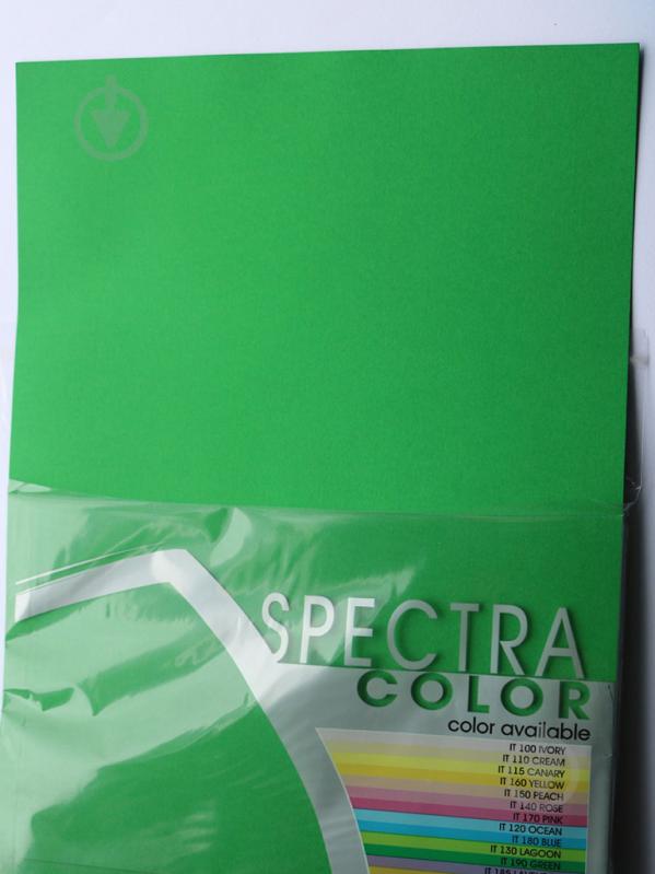 Бумага офисная цветная Spectra Color A4 80 г/м темно-зеленый 100 листов - фото 2