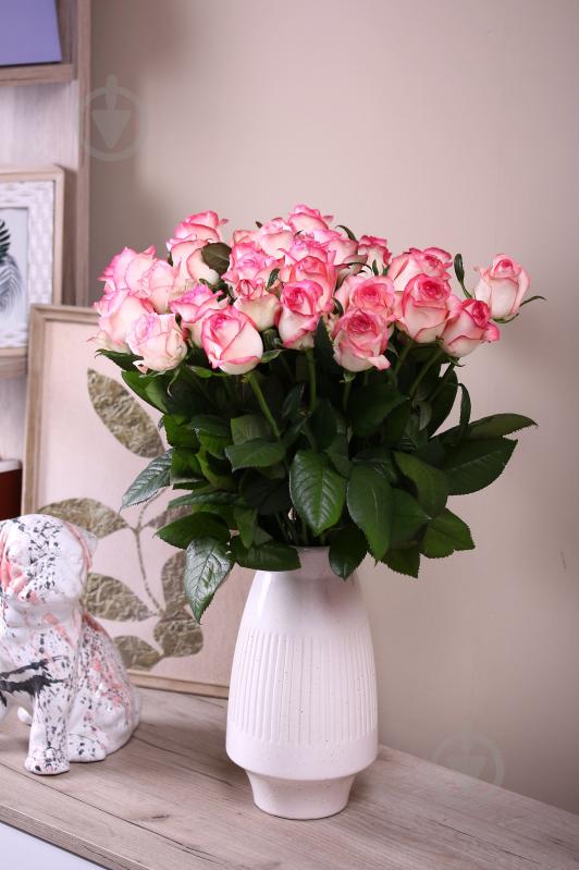 Троянда Джумілія одноголова класична 60 см рожева (Україна) - фото 3