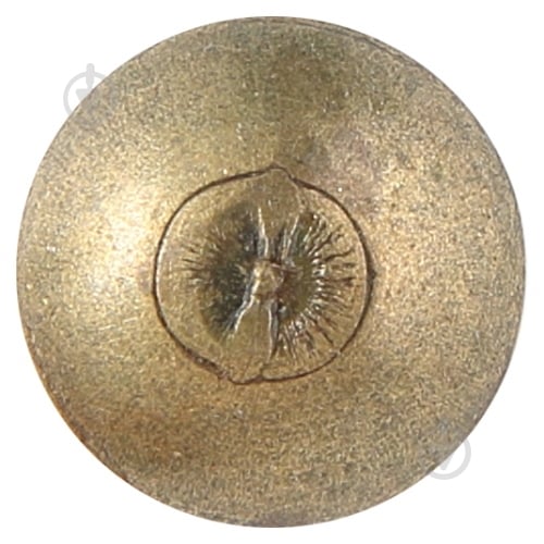 Гвозди мебельные 1,4x20 мм snapt 20 шт. декоративное (37341) - фото 3