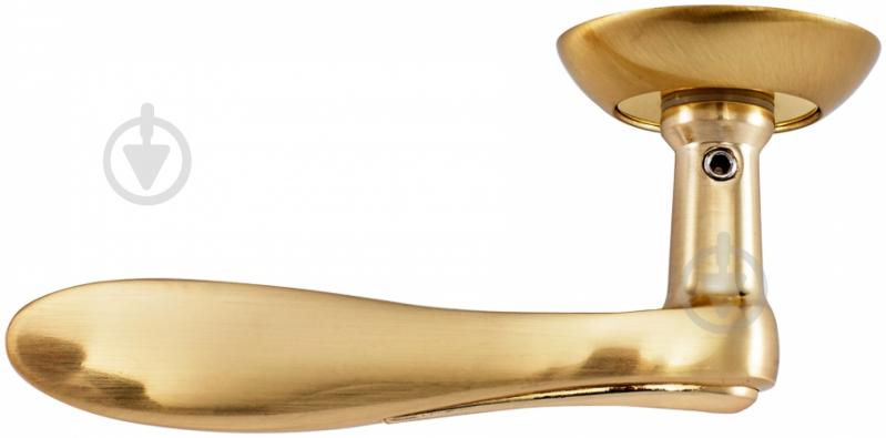 Ручка на розетке Linde A-2007 полированная латунь/матовая латунь - фото 2 Ручка на розетке Linde A-2007 полированная латунь/матовая латунь - фото 2