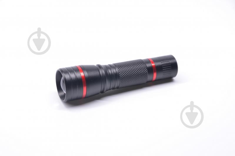 Ліхтар LP-4033-1AA чорний - фото 1