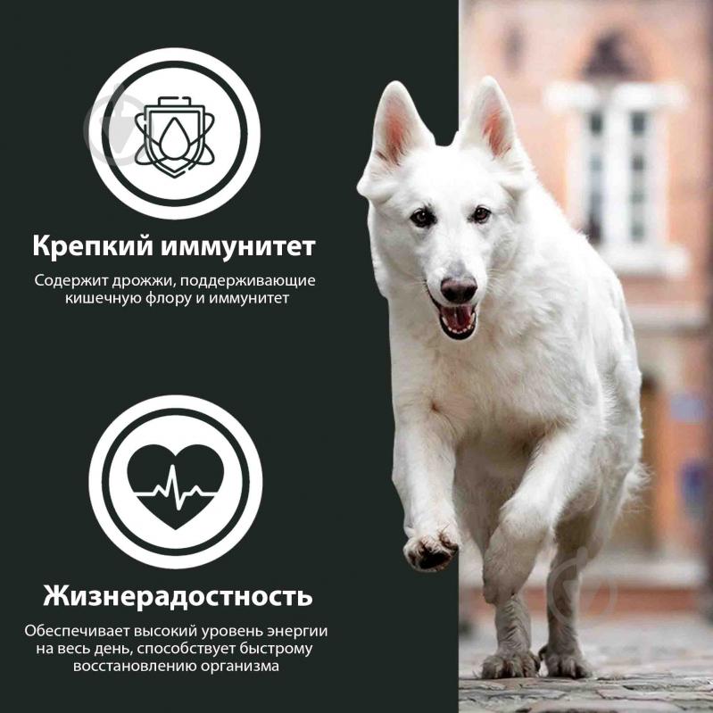 Корм сухий для усіх порід German Shephy GOLD Sensetiv Lamm & Reis (ягня та рис) 500 г 500 мл - фото 5