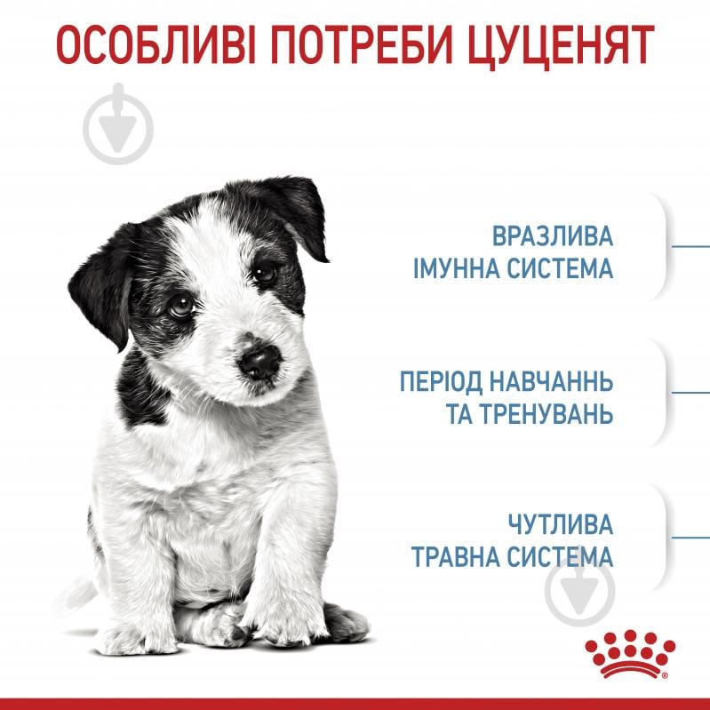 Корм сухой для щенков для малых пород Royal Canin Mini Puppy 0,8 кг (домашняя птица, рис, кукуруза) 800 г - фото 4