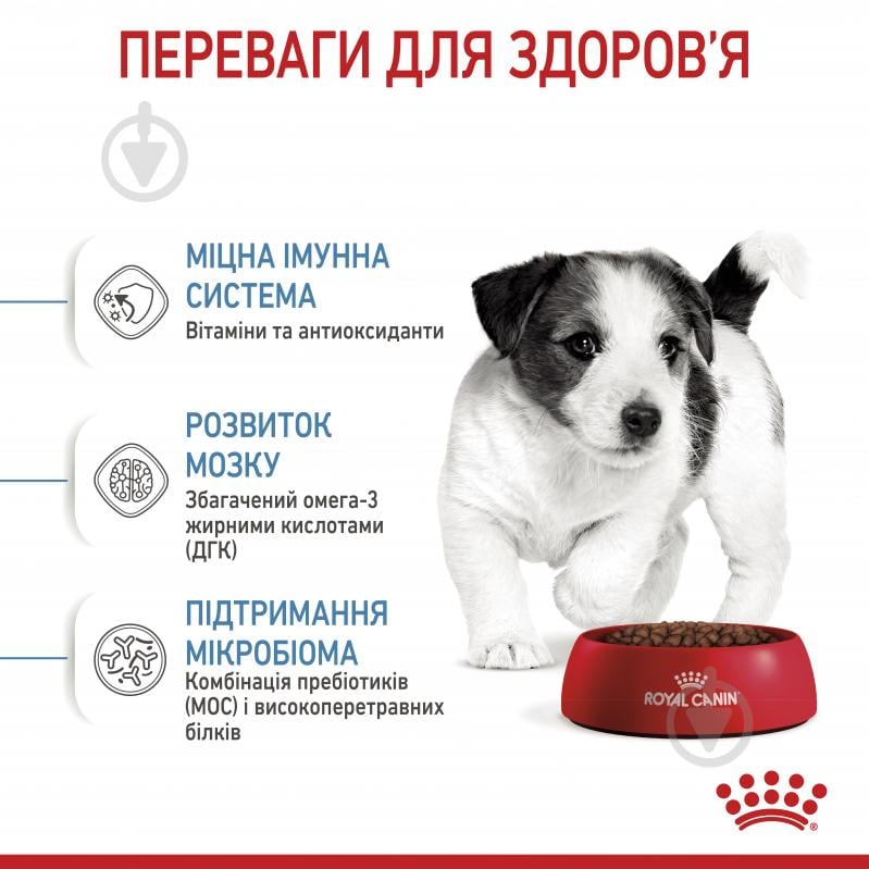 Корм сухой для щенков для малых пород Royal Canin Mini Puppy 0,8 кг (домашняя птица, рис, кукуруза) 800 г - фото 5