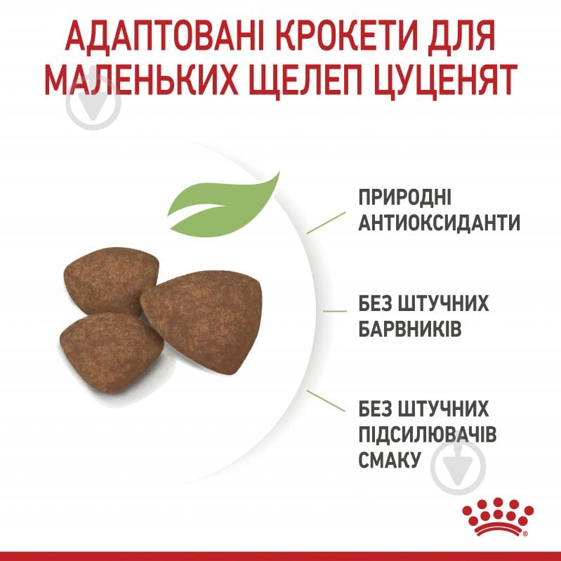 Корм сухой для щенков для малых пород Royal Canin Mini Puppy 0,8 кг (домашняя птица, рис, кукуруза) 800 г - фото 6