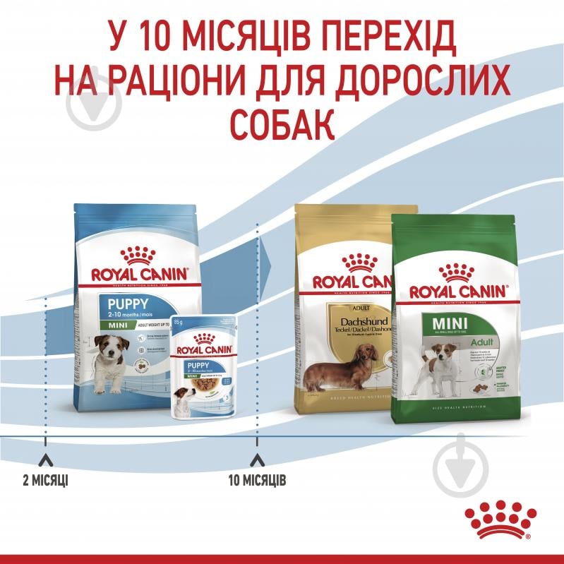 Корм сухой для щенков для малых пород Royal Canin Mini Puppy 0,8 кг (домашняя птица, рис, кукуруза) 800 г - фото 7