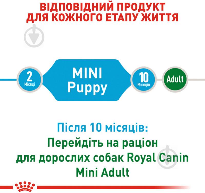 Корм сухий для цуценят для малих порід Royal Canin Mini Puppy 0,8 кг (свійська птиця, рис, кукурудза) 800 г - фото 3