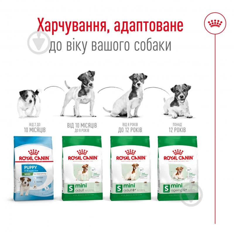 Корм сухий для дорослих собак для малих порід Royal Canin MINI ADULT 0,8 кг (свійська птиця, рис, кукурудза) 800 г - фото 4