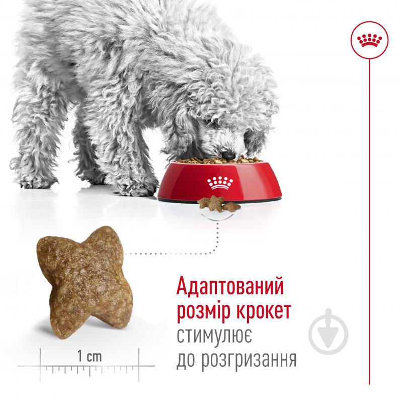 Корм сухий для дорослих собак для малих порід Royal Canin MINI ADULT 0,8 кг (свійська птиця, рис, кукурудза) 800 г - фото 5