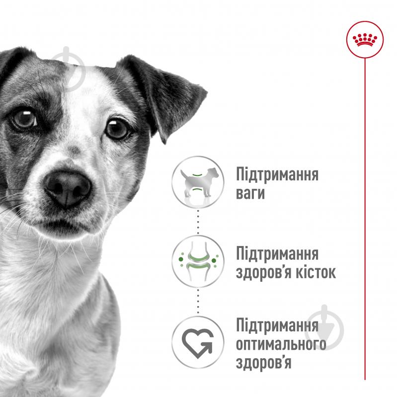 Корм сухий для дорослих собак для малих порід Royal Canin MINI ADULT 0,8 кг (свійська птиця, рис, кукурудза) 800 г - фото 7