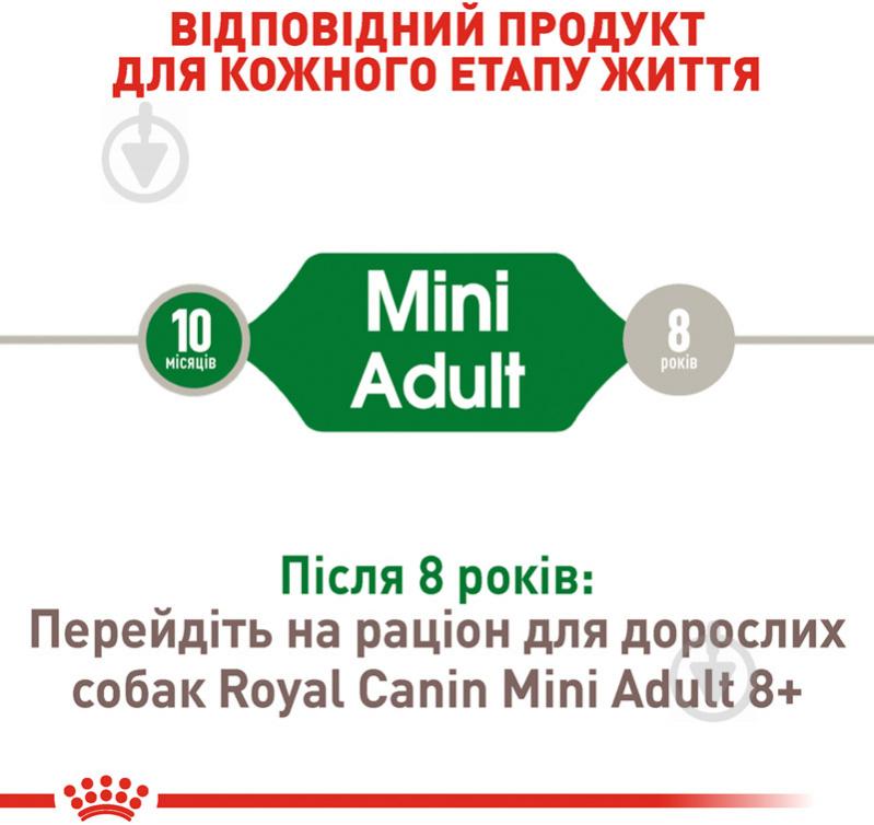 Корм для малих порід Royal Canin для собак MINI ADULT 0,8 кг (свійська птиця, рис, кукурудза) 800 г - фото 3