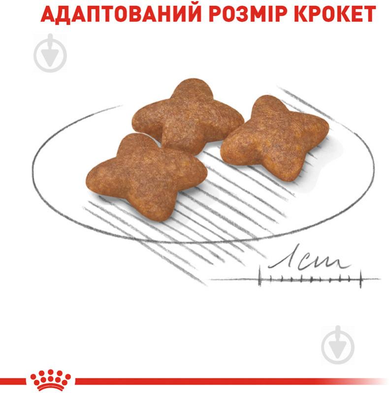 Корм сухой для взрослых собак для малых пород Royal Canin MINI ADULT 0,8 кг (домашняя птица, рис, кукуруза) 800 г - фото 4