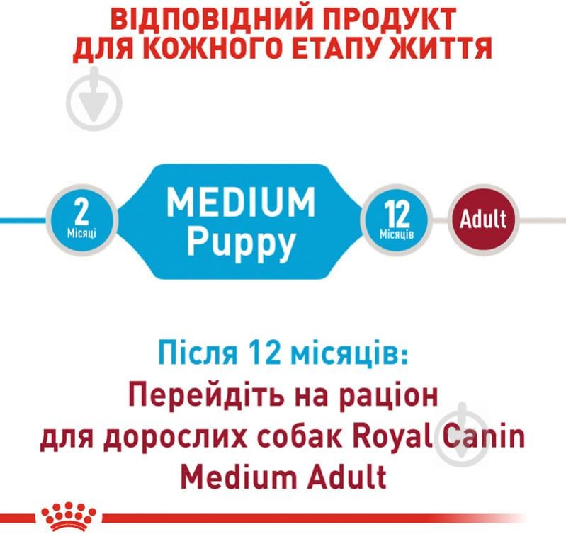 Корм сухой для щенков для средних пород Royal Canin MEDIUM PUPPY 4 кг (домашняя птица, рис, кукуруза) 4 кг - фото 3