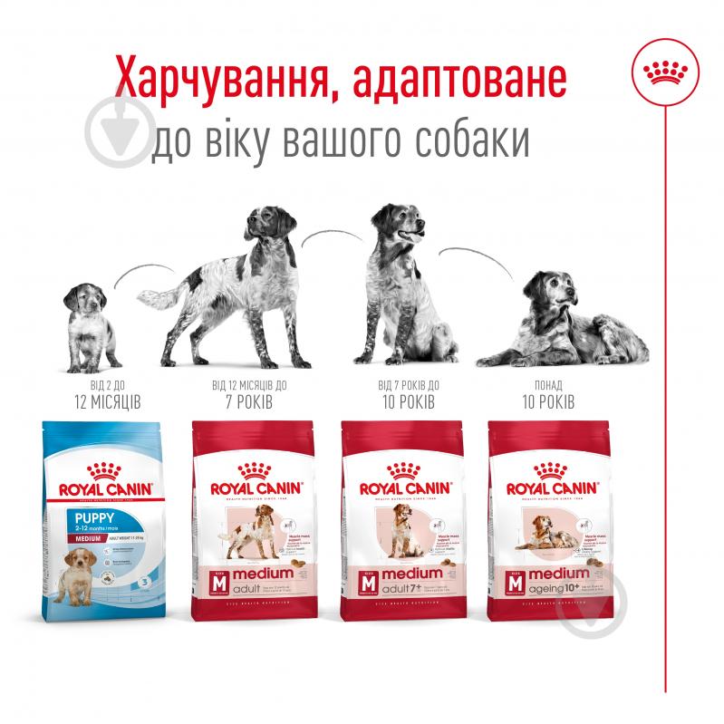 Корм сухий для дорослих собак для середніх порід Royal Canin MEDIUM ADULT 4 кг (свійська птиця, рис, кукурудза) 4 кг - фото 3