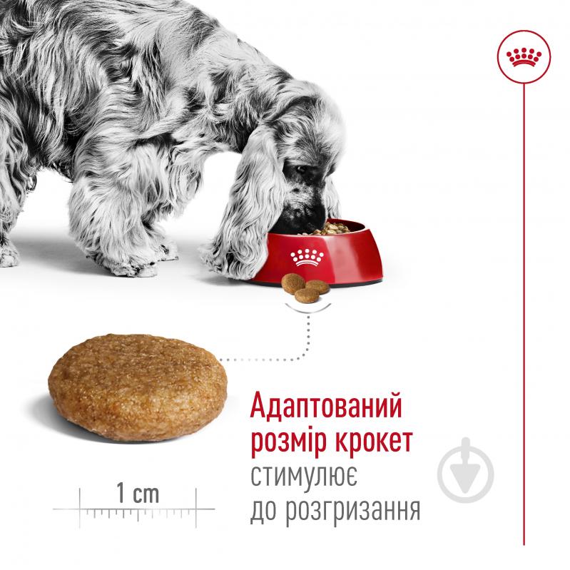 Корм сухий для дорослих собак для середніх порід Royal Canin MEDIUM ADULT 4 кг (свійська птиця, рис, кукурудза) 4 кг - фото 4