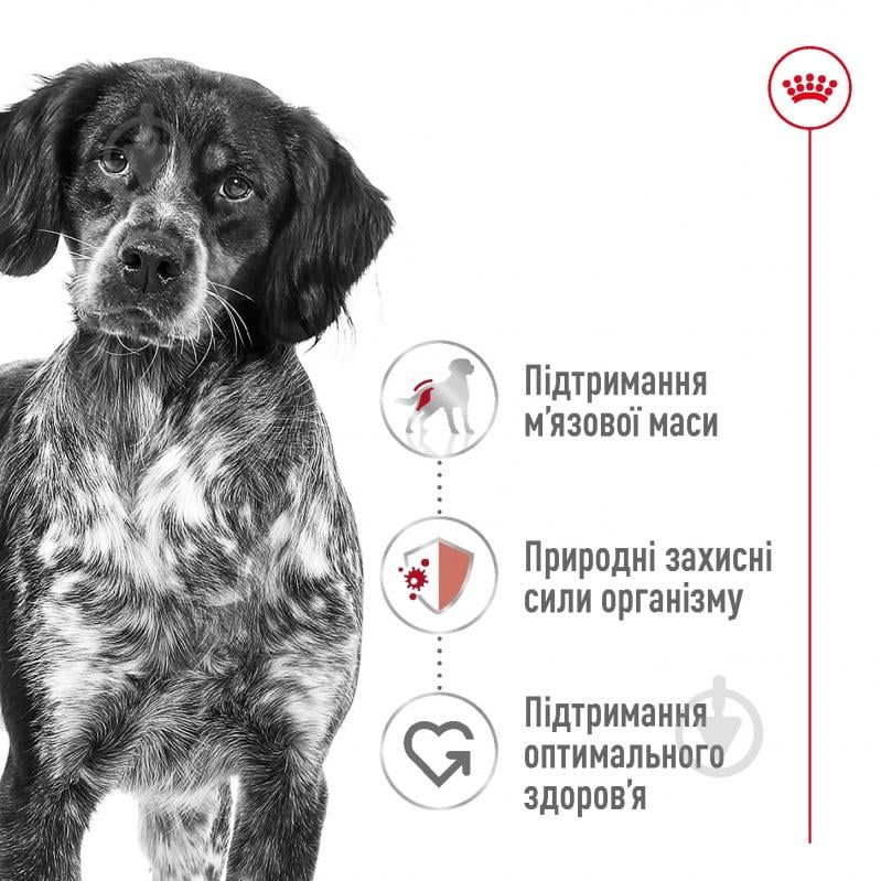 Корм сухий для дорослих собак для середніх порід Royal Canin MEDIUM ADULT 4 кг (свійська птиця, рис, кукурудза) 4 кг - фото 6