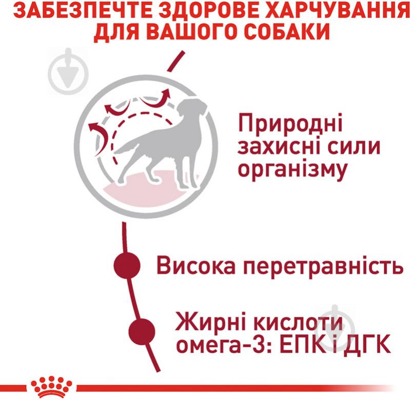 Корм сухой для взрослых собак для средних пород Royal Canin MEDIUM ADULT 4 кг (домашняя птица, рис, кукуруза) 4 кг - фото 5