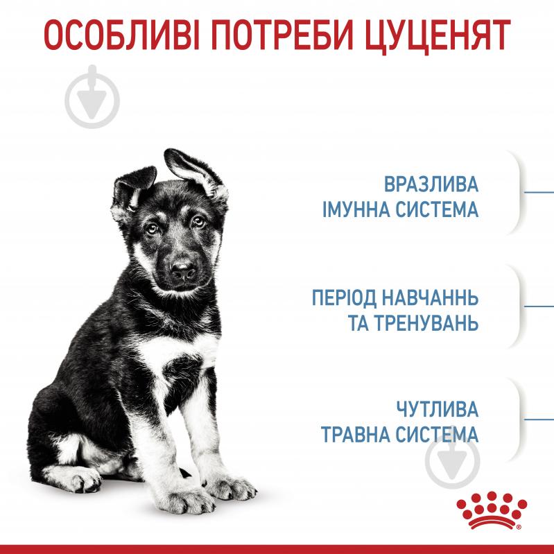 Корм сухий для цуценят для крупних порід Royal Canin MAXI PUPPY 4 кг (свійська птиця, рис, кукурудза) 4 кг - фото 4