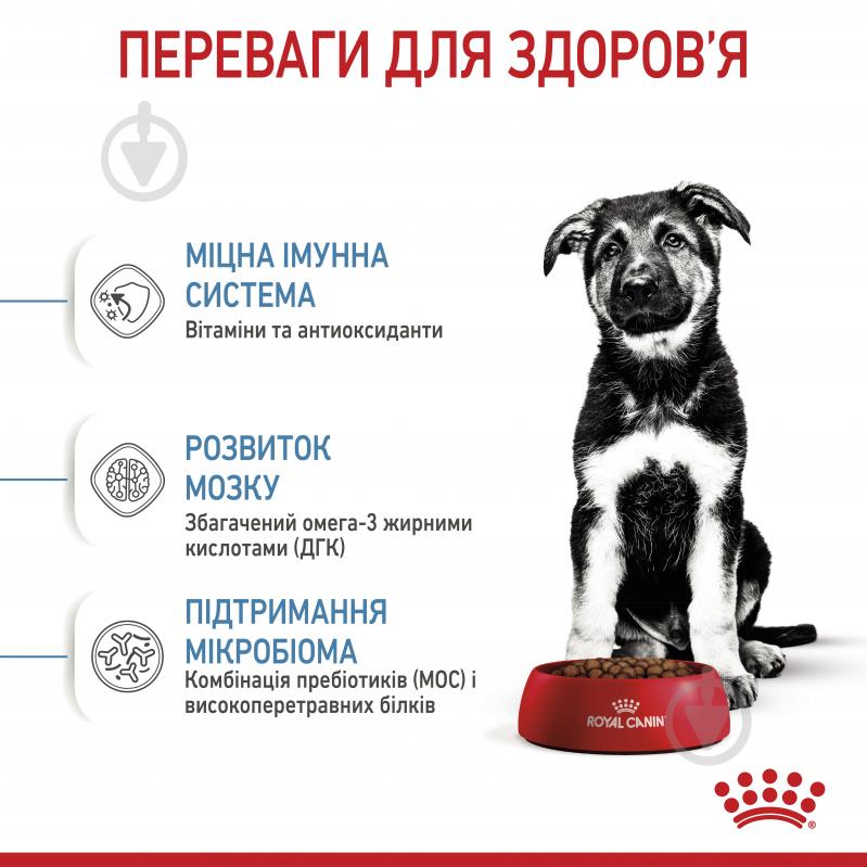 Корм сухий для цуценят для крупних порід Royal Canin MAXI PUPPY 4 кг (свійська птиця, рис, кукурудза) 4 кг - фото 5