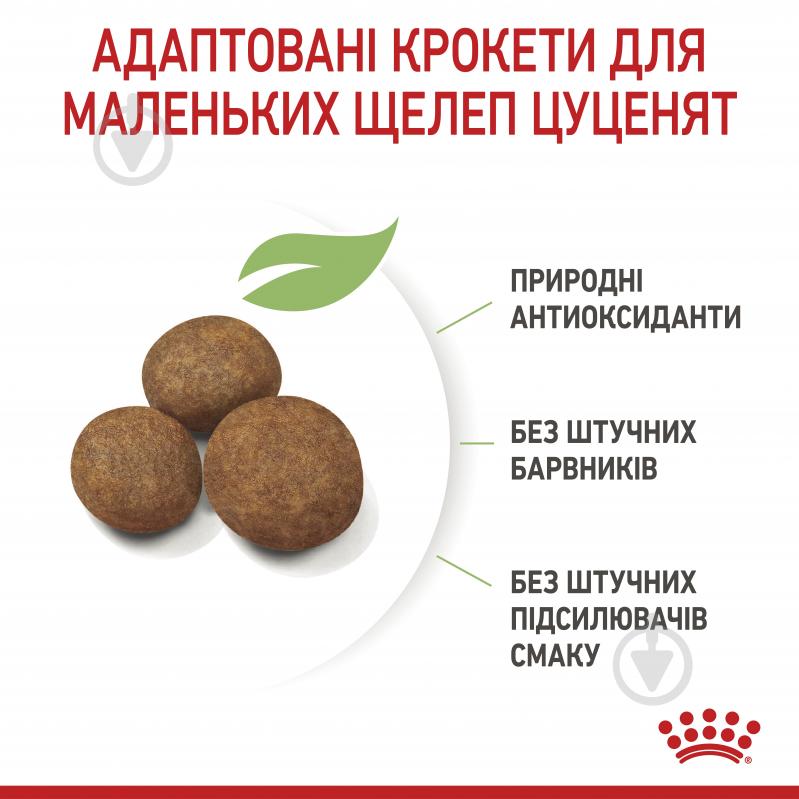 Корм сухий для цуценят для крупних порід Royal Canin MAXI PUPPY 4 кг (свійська птиця, рис, кукурудза) 4 кг - фото 6