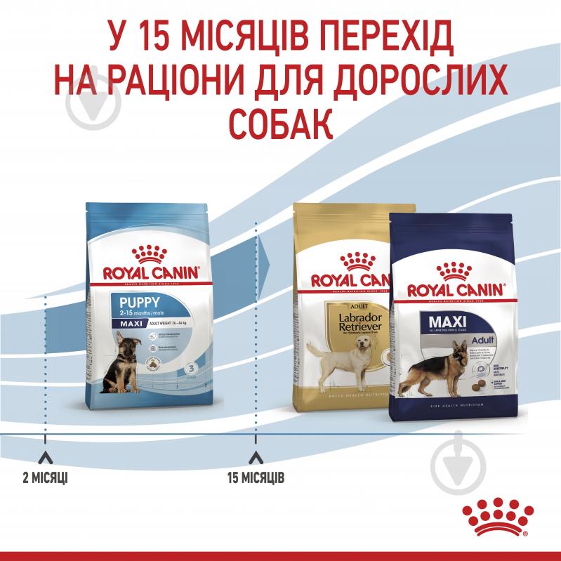 Корм сухий для цуценят для крупних порід Royal Canin MAXI PUPPY 4 кг (свійська птиця, рис, кукурудза) 4 кг - фото 7