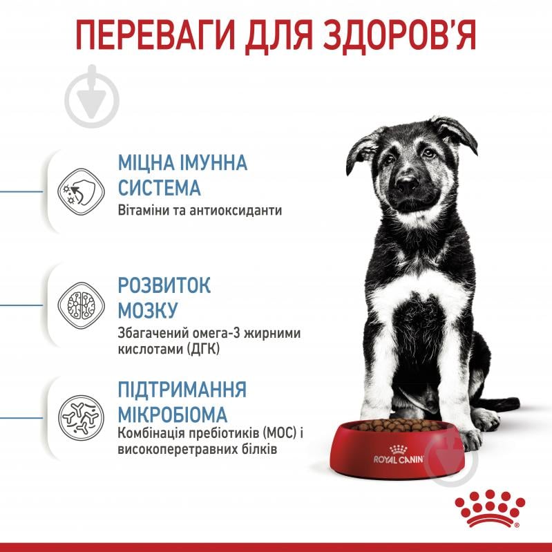 Корм сухой для щенков для крупных пород Royal Canin MAXI PUPPY 15 кг (домашняя птица, рис, кукуруза) 15 кг - фото 5