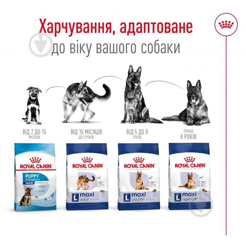 Корм сухой для взрослых собак для крупных пород Royal Canin MAXI ADULT 4 кг (домашняя птица, рис, кукуруза) 4 кг - фото 3