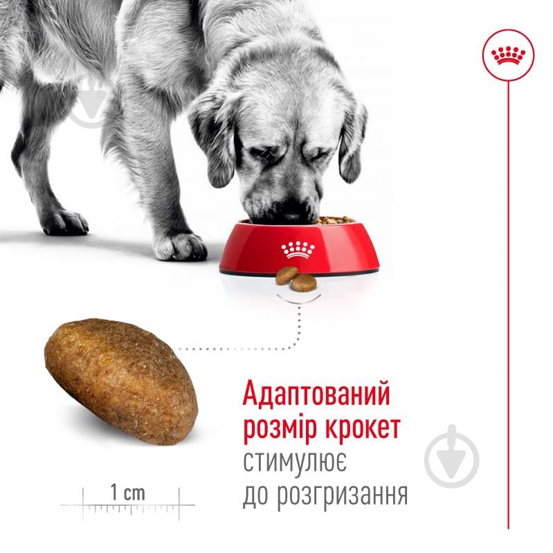 Корм сухой для взрослых собак для крупных пород Royal Canin MAXI ADULT 4 кг (домашняя птица, рис, кукуруза) 4 кг - фото 4