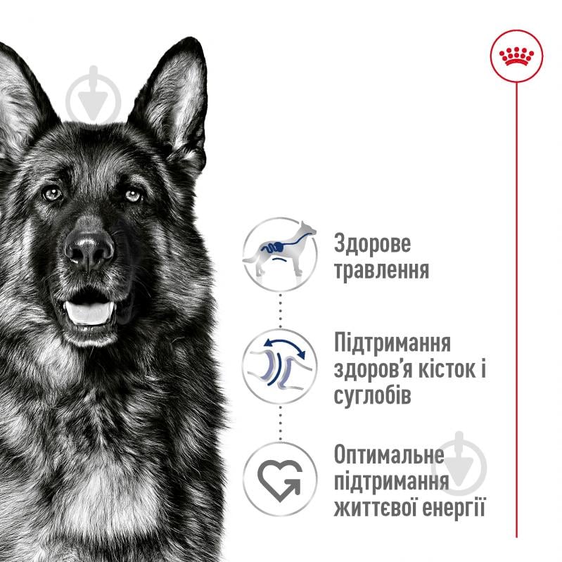 Корм сухой Royal Canin MAXI ADULT 15 кг (домашняя птица, рис, кукуруза) 15 кг - фото 6
