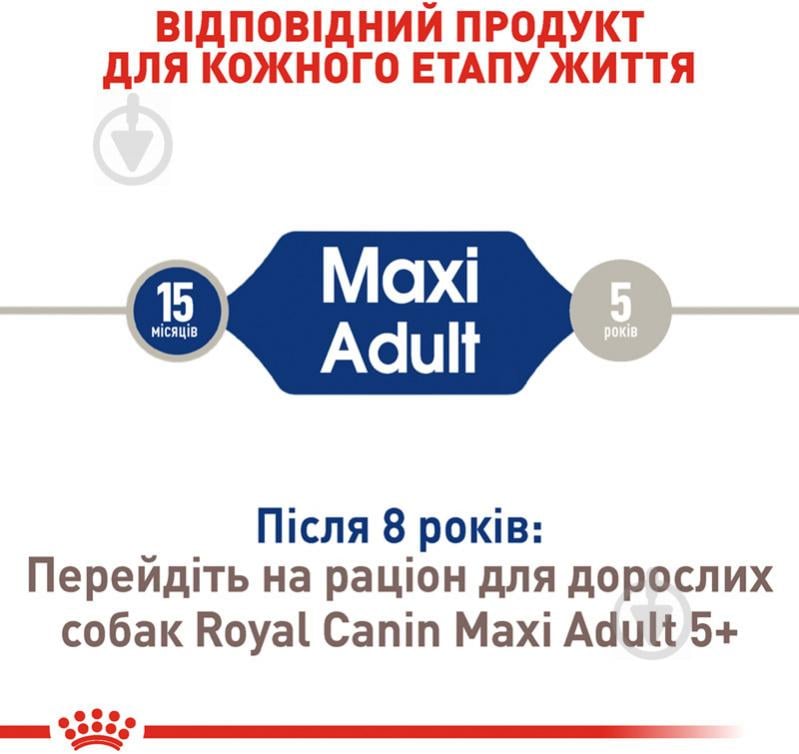 Корм сухий для дорослих собак для крупних порід Royal Canin MAXI ADULT 15 кг (свійська птиця, рис, кукурудза) 15 кг - фото 3