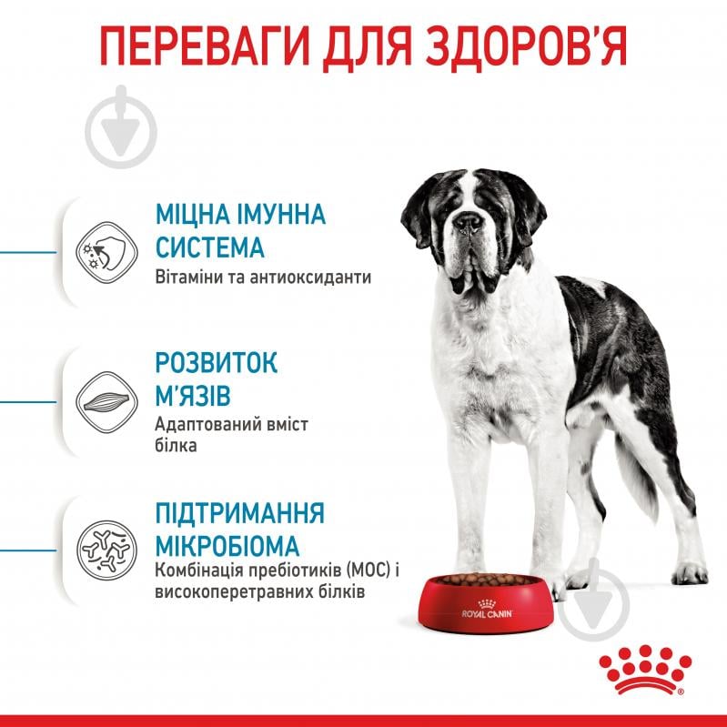 Корм сухой Royal Canin GIANT JUNIOR 15 кг (домашняя птица, рис, кукуруза) 15 кг - фото 5