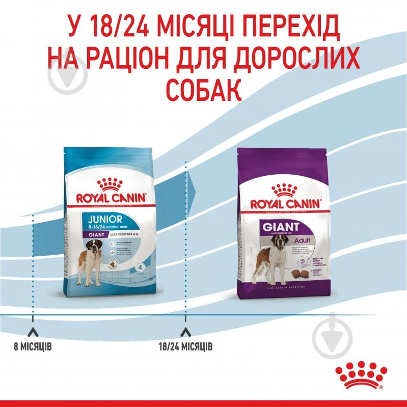 Корм сухой Royal Canin GIANT JUNIOR 15 кг (домашняя птица, рис, кукуруза) 15 кг - фото 7