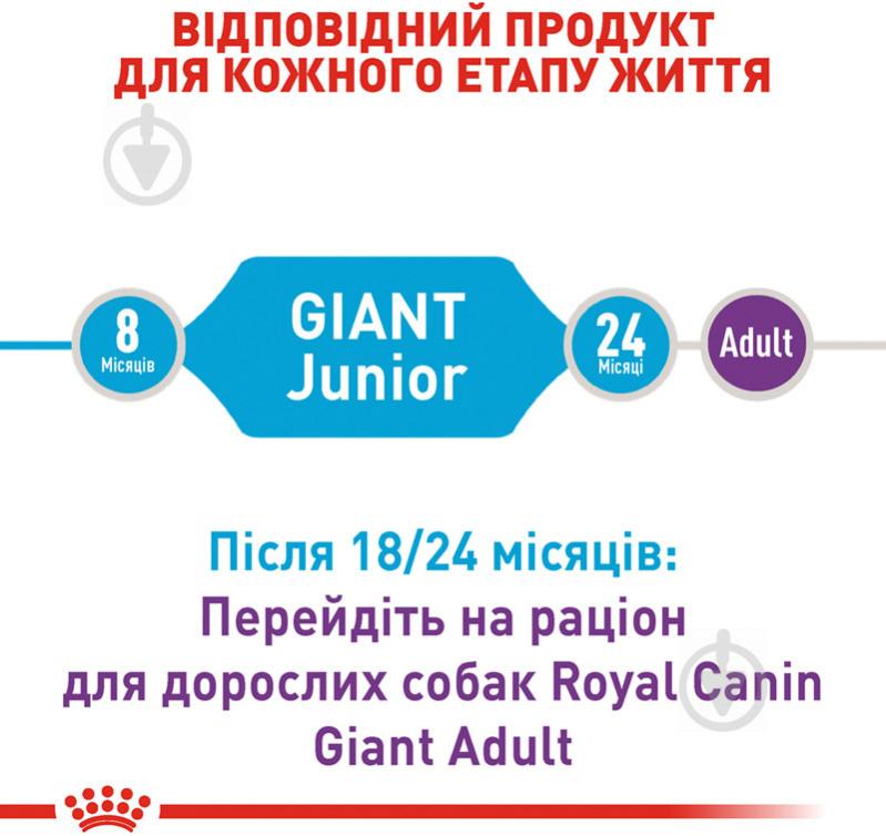 Корм сухой для щенков для крупных пород Royal Canin GIANT JUNIOR 15 кг (домашняя птица, рис, кукуруза) 15 кг - фото 3