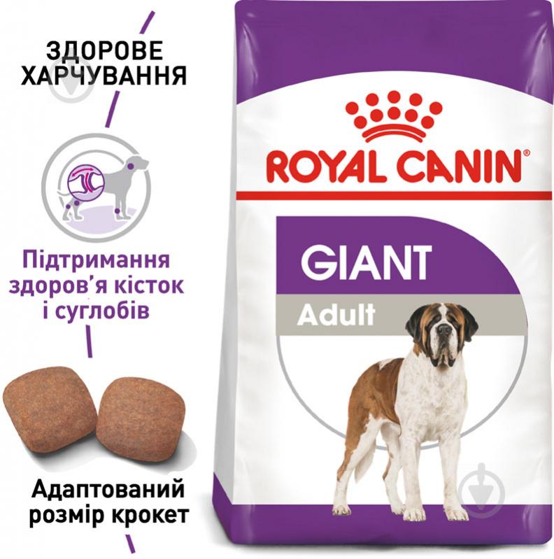 Корм сухий для дорослих собак для гігантських порід Royal Canin GIANT ADULT 15 кг (свійська птиця, рис, кукурудза) 15 кг - фото 2