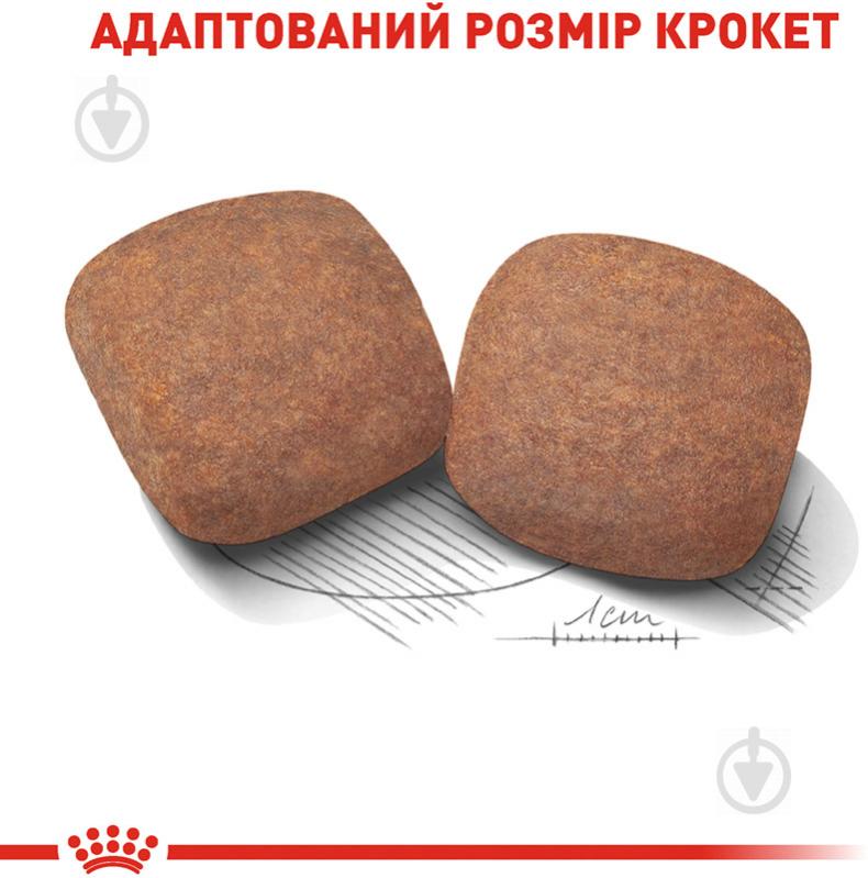 Корм сухий для дорослих собак для гігантських порід Royal Canin GIANT ADULT 15 кг (свійська птиця, рис, кукурудза) 15 кг - фото 4