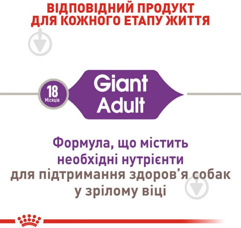 Корм сухий для дорослих собак для гігантських порід Royal Canin GIANT ADULT 15 кг (свійська птиця, рис, кукурудза) 15 кг - фото 3