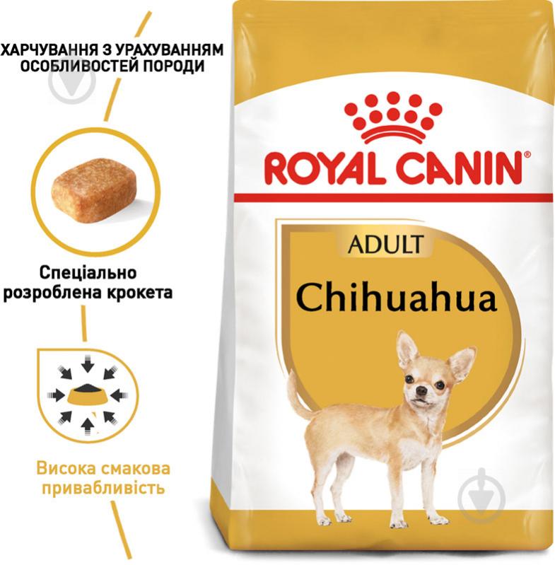 Корм сухой для взрослых собак для малых пород Royal Canin CHIHUAHUA ADULT 0,5 кг (домашняя птица, рис, кукуруза) 500 г - фото 2