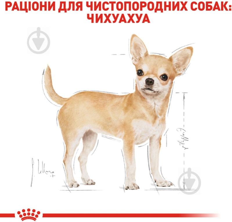 Корм для малих порід Royal Canin для собак CHIHUAHUA ADULT 0,5 кг (свійська птиця, рис, кукурудза) 500 г - фото 3