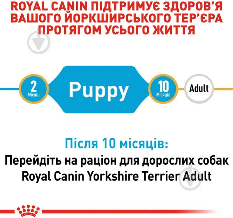 Корм сухий для цуценят для малих порід Royal Canin YORKSHIRE TERRIER PUPPY 0,5 кг (свійська птиця, рис, кукурудза) 500 г - фото 4