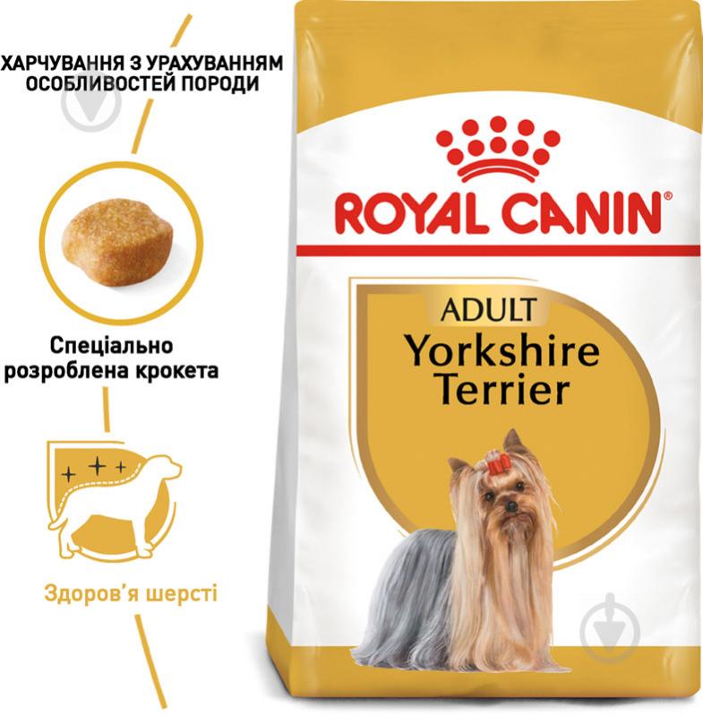 Корм сухий для дорослих собак для малих порід Royal Canin YORKSHIRE TERRIER ADULT 0,5 кг (свійська птиця, рис, кукурудз - фото 2