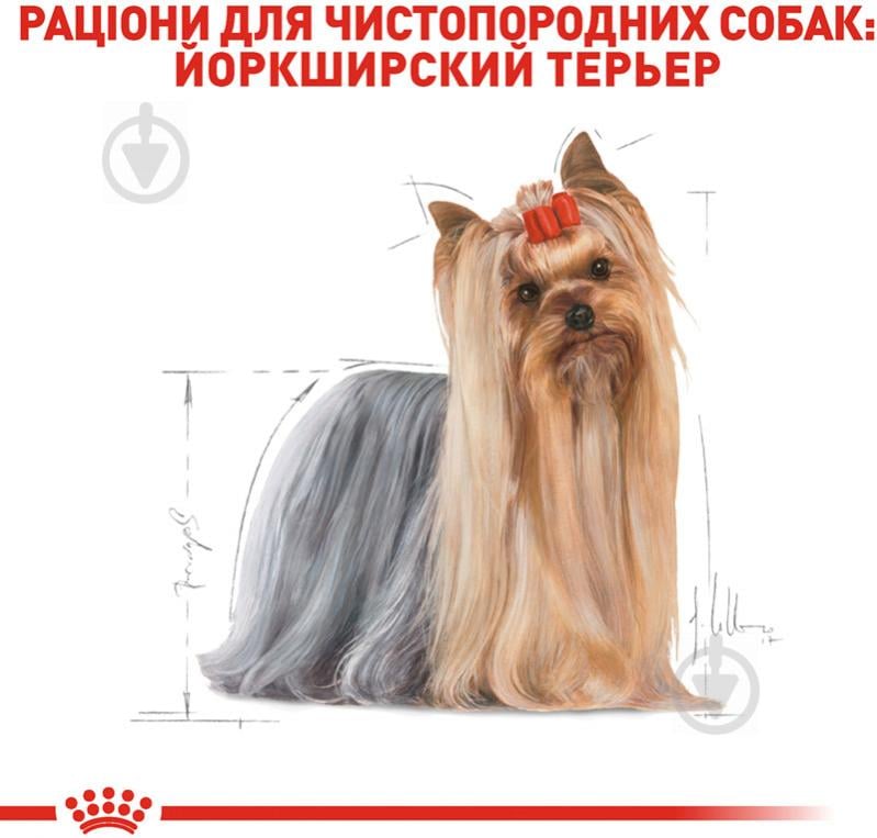 Корм сухий для дорослих собак для малих порід Royal Canin YORKSHIRE TERRIER ADULT 0,5 кг (свійська птиця, рис, кукурудз - фото 3