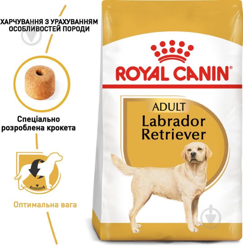 Корм сухий для дорослих собак для крупних порід Royal Canin LABRADOR RETRIEVER ADULT 12 кг (свійська птиця, рис, куку - фото 2