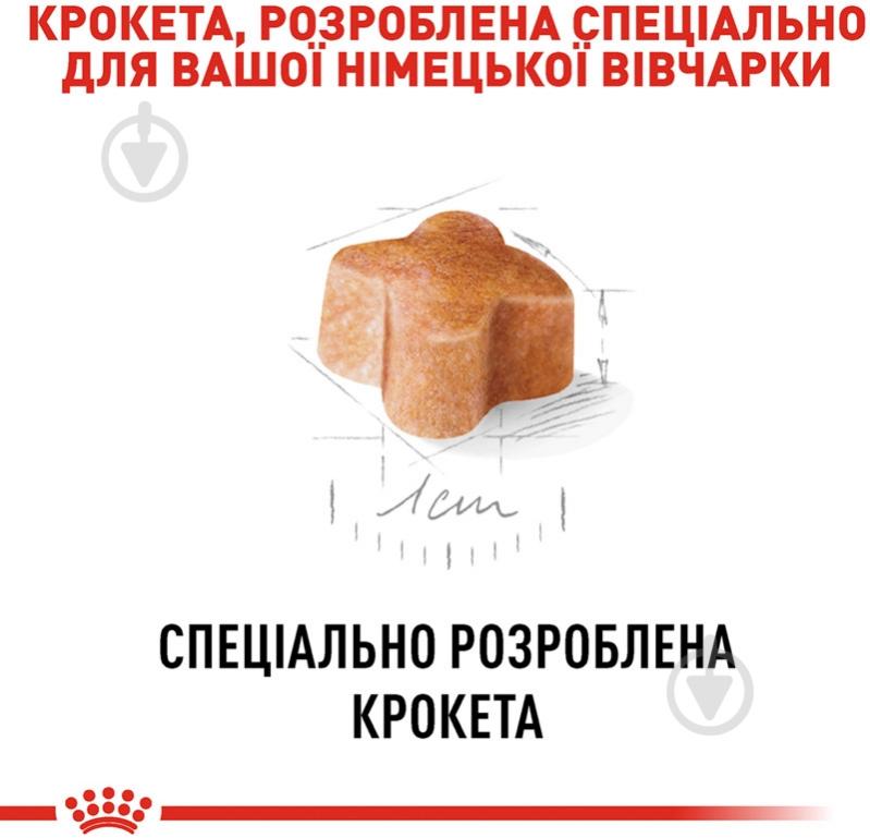 Корм сухой для щенков для крупных пород Royal Canin GERMAN SHEPHERD PUPPY 3 кг (домашняя птица, рис, кукуруза) 3 кг - фото 5