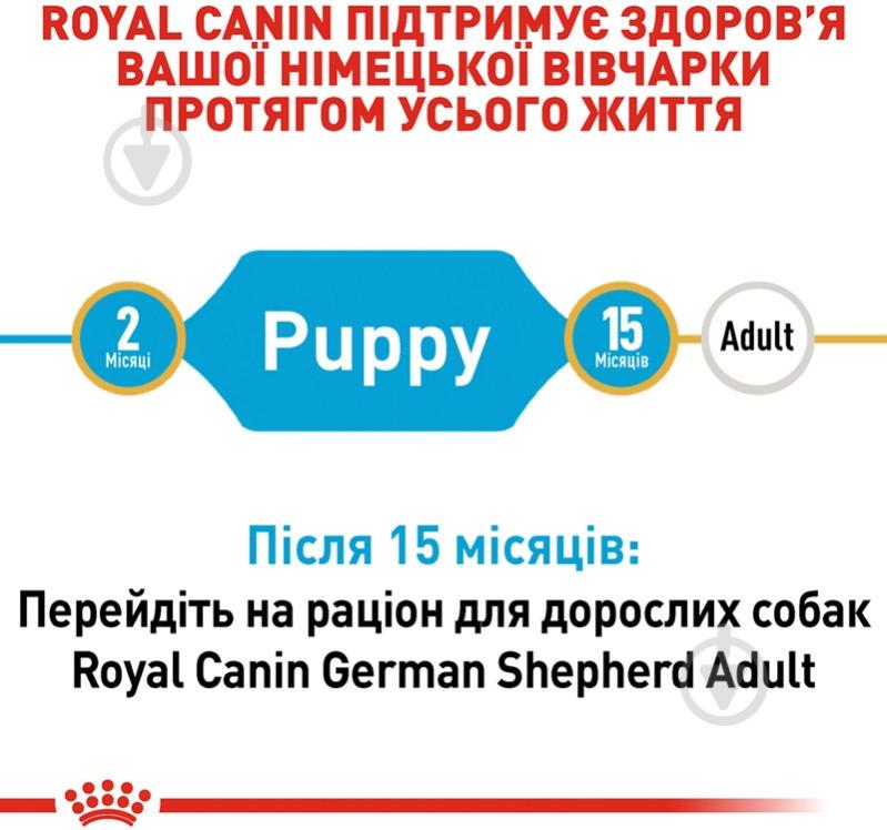 Корм сухой для щенков для крупных пород Royal Canin GERMAN SHEPHERD PUPPY 3 кг (домашняя птица, рис, кукуруза) 3 кг - фото 4