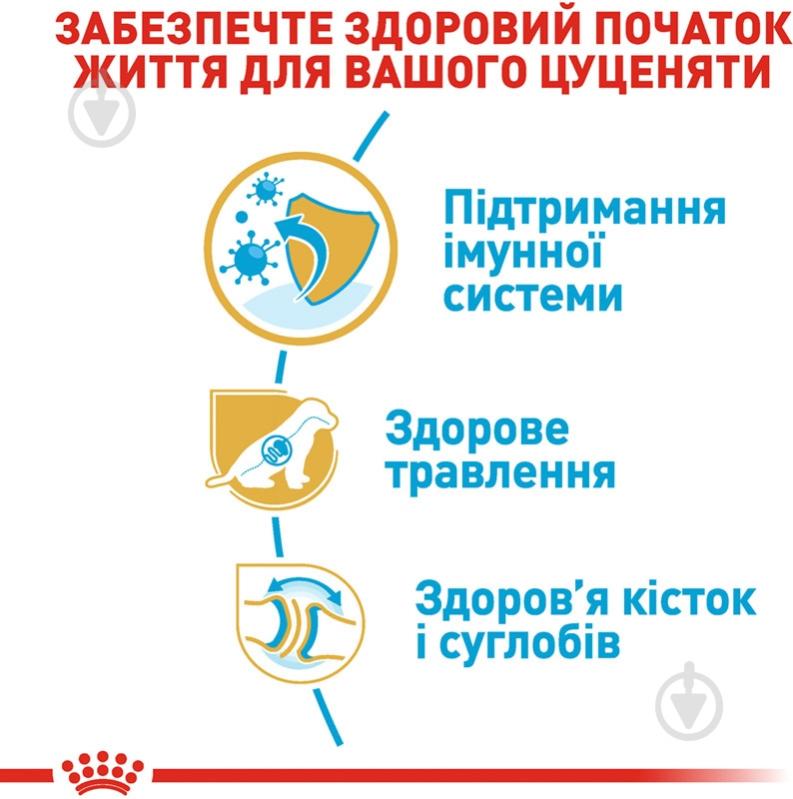 Корм сухой для щенков для крупных пород Royal Canin GERMAN SHEPHERD PUPPY 3 кг (домашняя птица, рис, кукуруза) 3 кг - фото 6