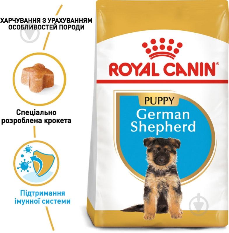 Корм сухой для щенков для крупных пород Royal Canin GERMAN SHEPHERD PUPPY 3 кг (домашняя птица, рис, кукуруза) 3 кг - фото 2