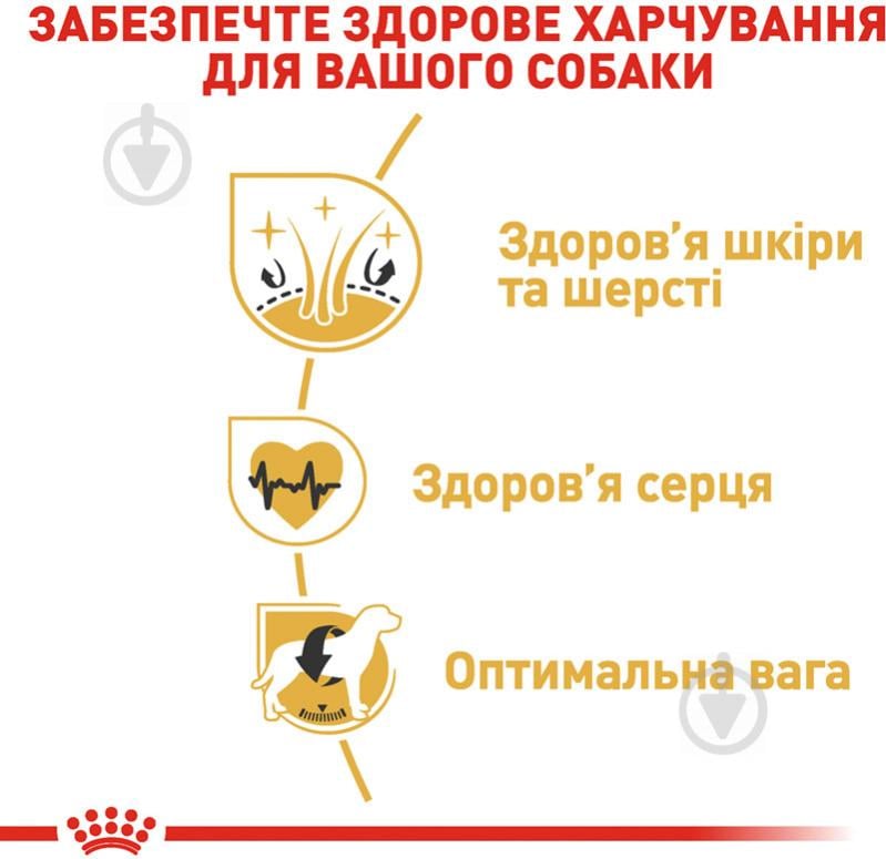 Корм сухой для взрослых собак для крупных пород Royal Canin GOLDEN RETRIEVER ADULT (Голден Ретривер Эдалт), 12 кг (домашняя птица, рис, кукуруза) 12 кг - фото 5