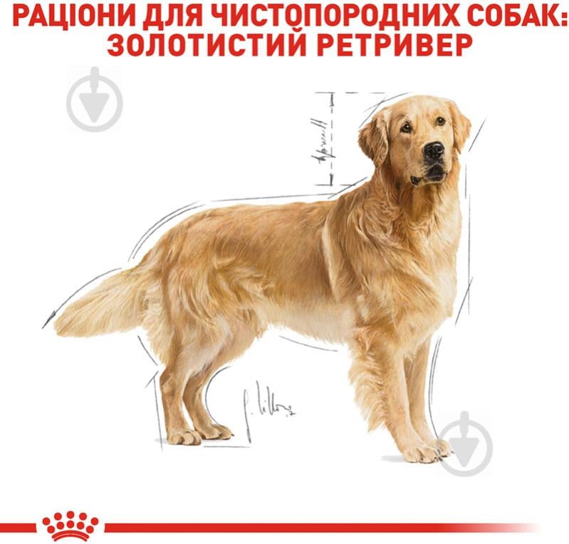 Корм сухой для взрослых собак для крупных пород Royal Canin GOLDEN RETRIEVER ADULT (Голден Ретривер Эдалт), 12 кг (домашняя птица, рис, кукуруза) 12 кг - фото 3