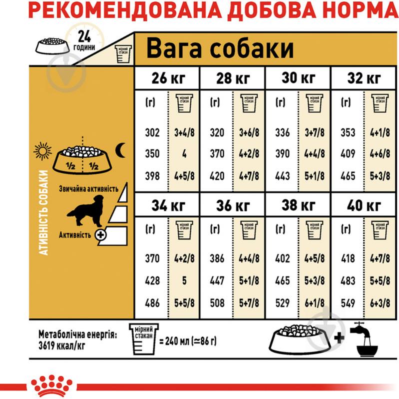 Корм сухой для взрослых собак для крупных пород Royal Canin GOLDEN RETRIEVER ADULT (Голден Ретривер Эдалт), 12 кг (домашняя птица, рис, кукуруза) 12 кг - фото 6