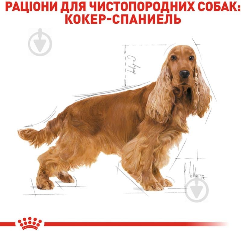 Корм сухий для дорослих собак для середніх порід Royal Canin COCKER ADULT (Кокер Едалт), 3 кг (свійська птиця, рис, - фото 3